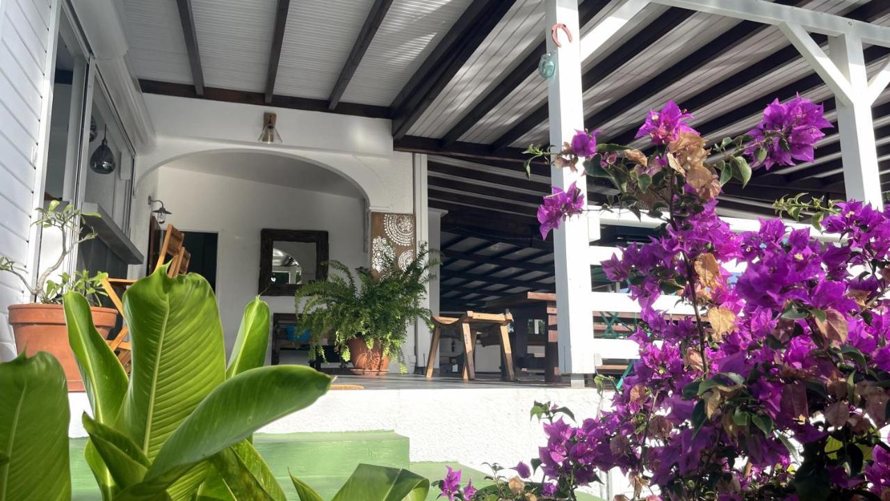 Villa Cristalline Douceur Des Alizes Belle-Allée Exteriör bild