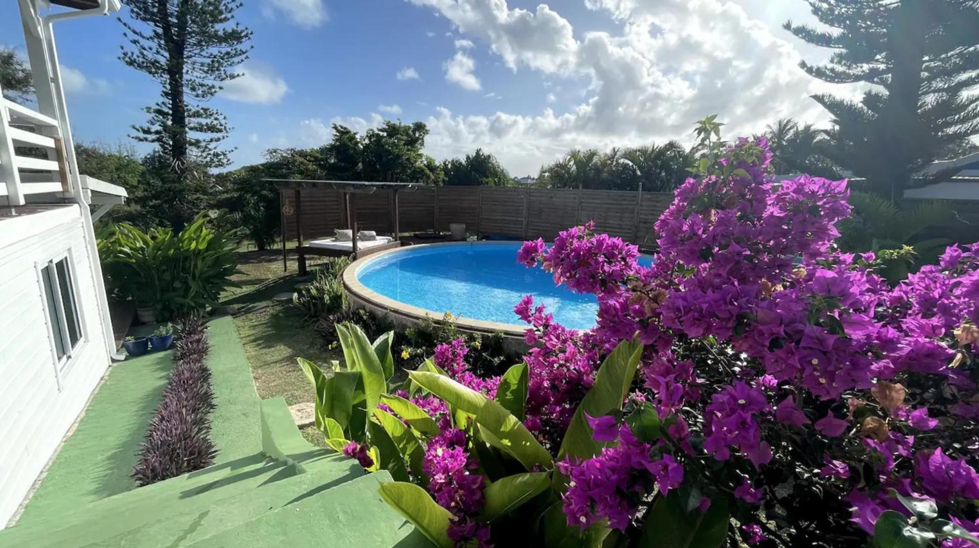 Villa Cristalline Douceur Des Alizes Belle-Allée Exteriör bild